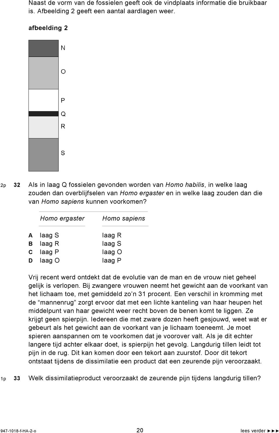 voorkomen? Homo ergaster Homo sapiens A laag S laag R B laag R laag S C laag P laag O D laag O laag P Vrij recent werd ontdekt dat de evolutie van de man en de vrouw niet geheel gelijk is verlopen.