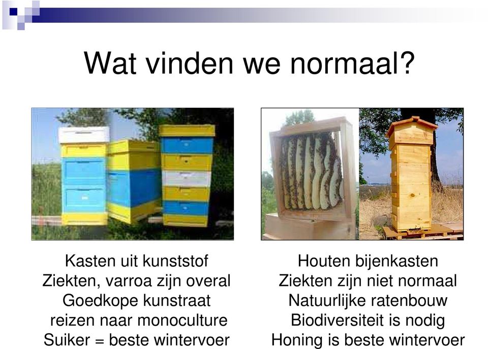 kunstraat reizen naar monoculture Suiker = beste wintervoer