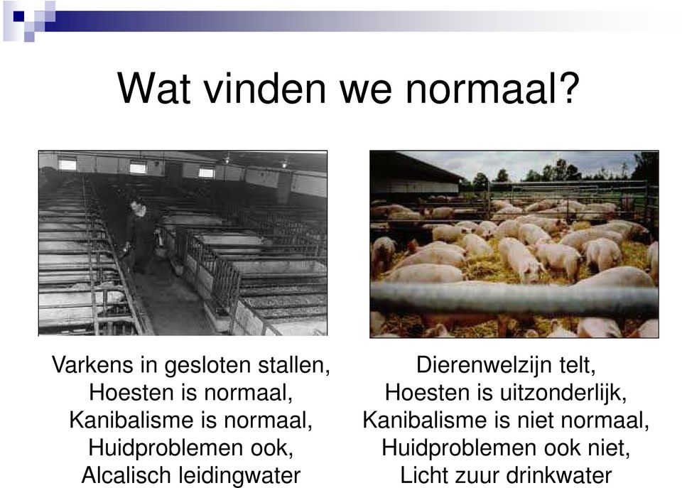 normaal, Huidproblemen ook, Alcalisch leidingwater Dierenwelzijn