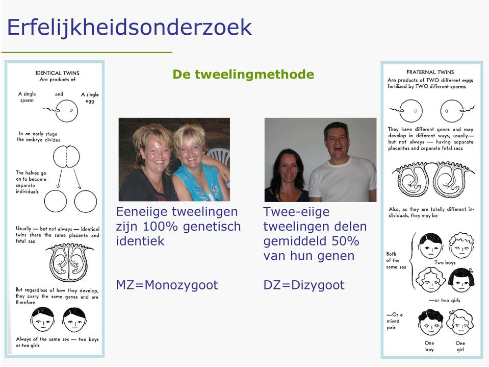 identiek MZ=Monozygoot Twee-eiige