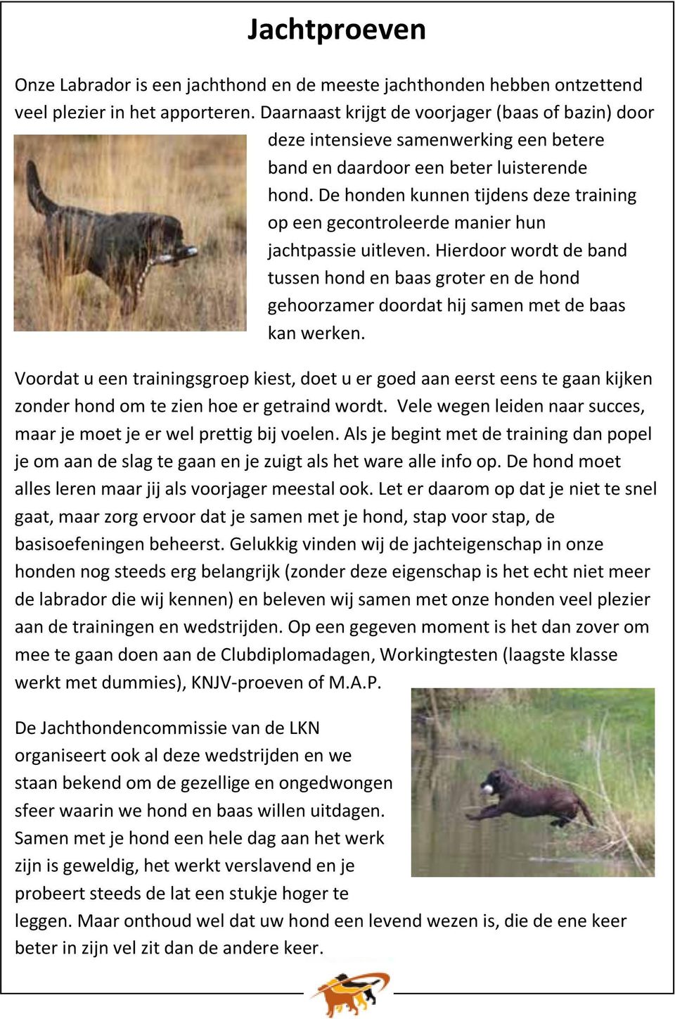 De honden kunnen tijdens deze training op een gecontroleerde manier hun jachtpassie uitleven.