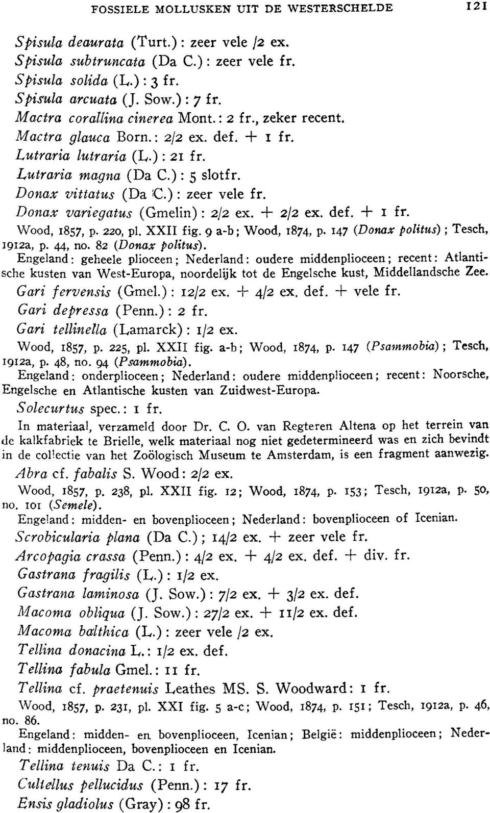 Donax variegatus (Gmelin): 2/2 ex. + 2/2 ex. def. + 1 fr. Wood, 1857, p. 220, pl. XXII fig. 9 a-b; Wood, 1874, p. 147 (Donax politus); Tesch, 1912a, p. 44, no. 82 (Donax politus).