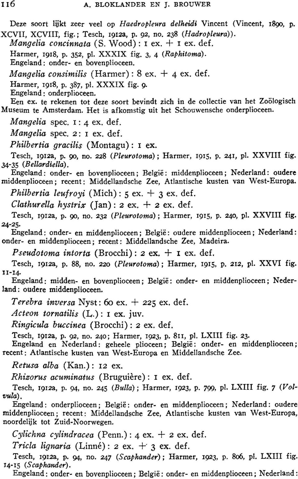 XXXIX fig. 9. Engeland: onderplioceen. Een ex. te rekenen tot deze soort bevindt zich in de collectie van het Zoologisch Museum te Amsterdam. Het is afkomstig uit het Schouwensche onderplioceen.