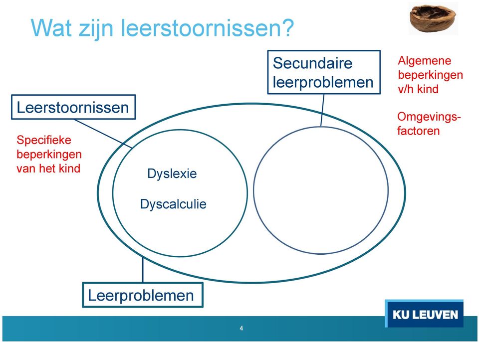 kind Dyslexie Secundaire leerproblemen