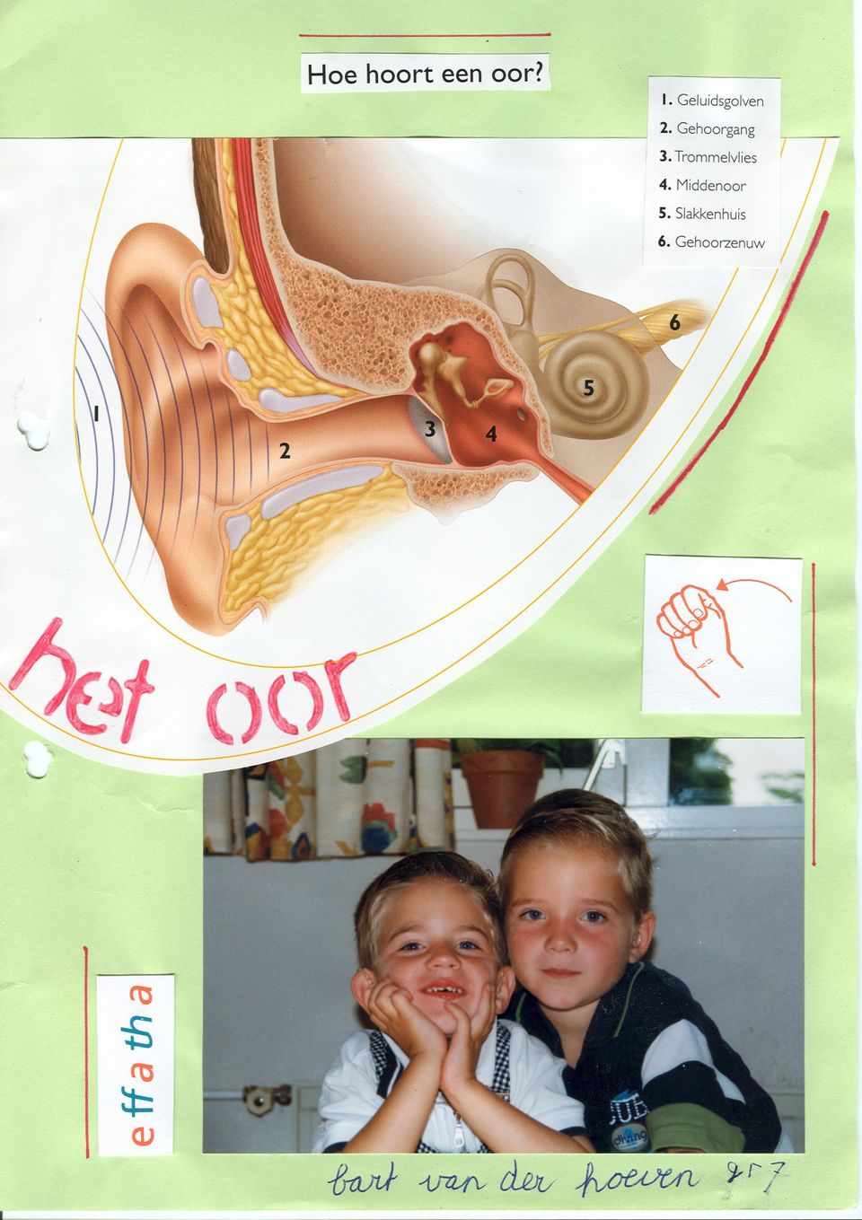 Gehoorgang - Trommelvlies I J 4. Middenoor s.