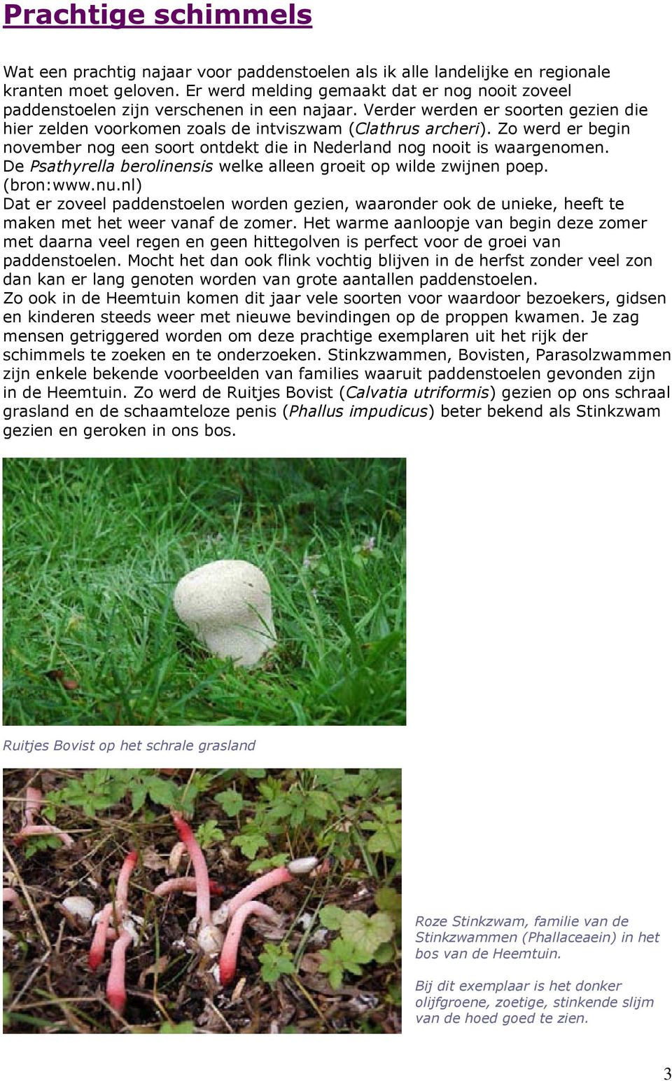 Zo werd er begin november nog een soort ontdekt die in Nederland nog nooit is waargenomen. De Psathyrella berolinensis welke alleen groeit op wilde zwijnen poep. (bron:www.nu.