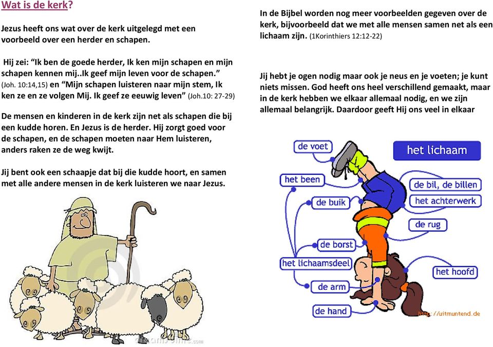 10: 27-29) De mensen en kinderen in de kerk zijn net als schapen die bij een kudde horen. En Jezus is de herder.