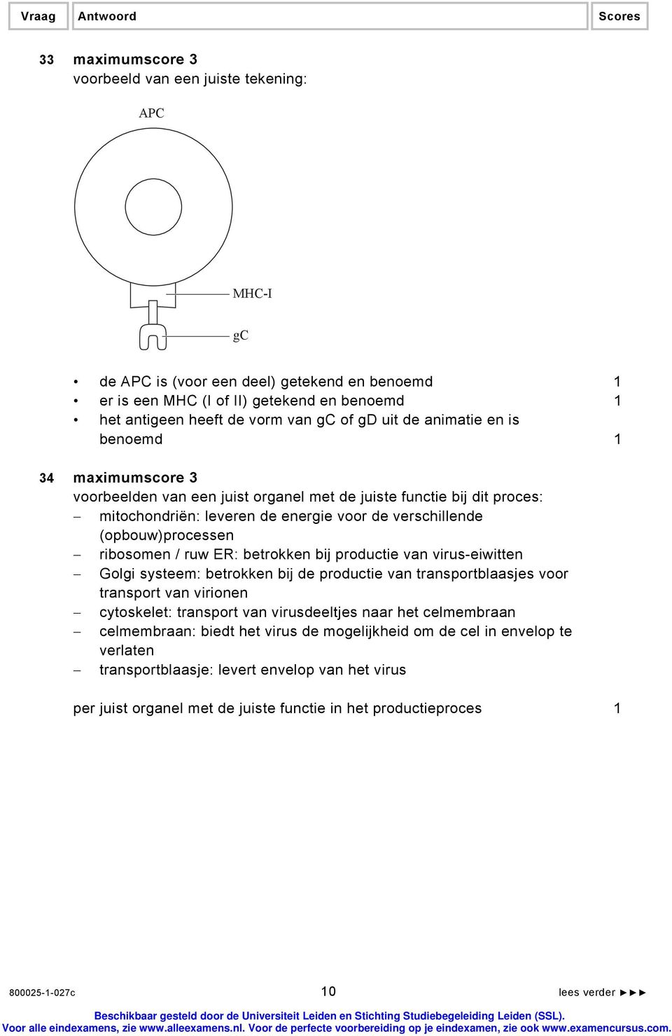 ribosomen / ruw ER: betrokken bij productie van virus-eiwitten Golgi systeem: betrokken bij de productie van transportblaasjes voor transport van virionen cytoskelet: transport van virusdeeltjes naar