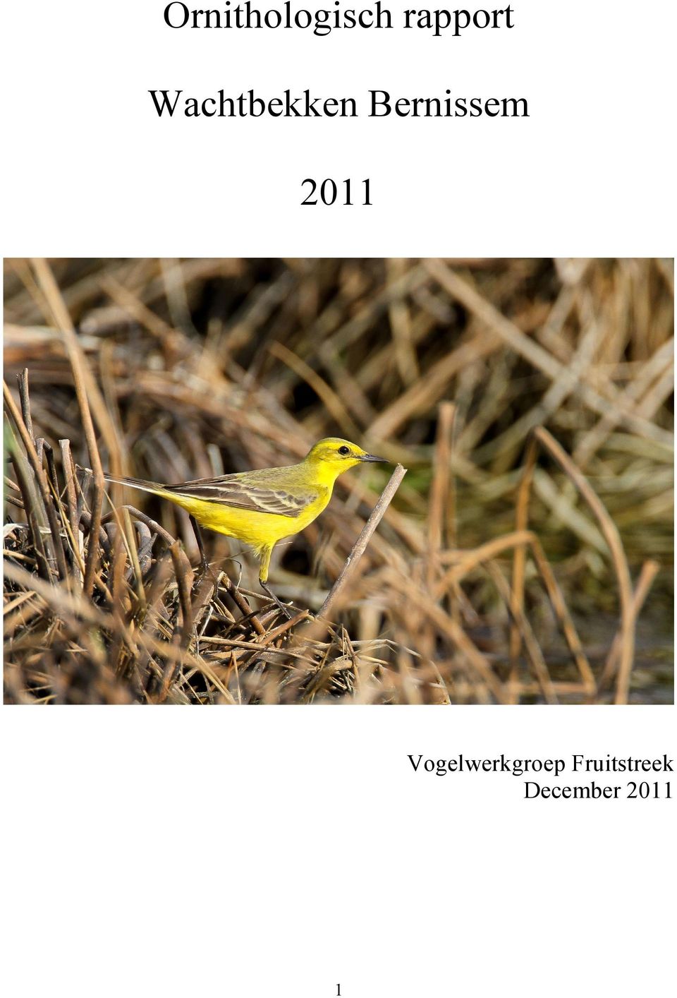 2011 Vogelwerkgroep