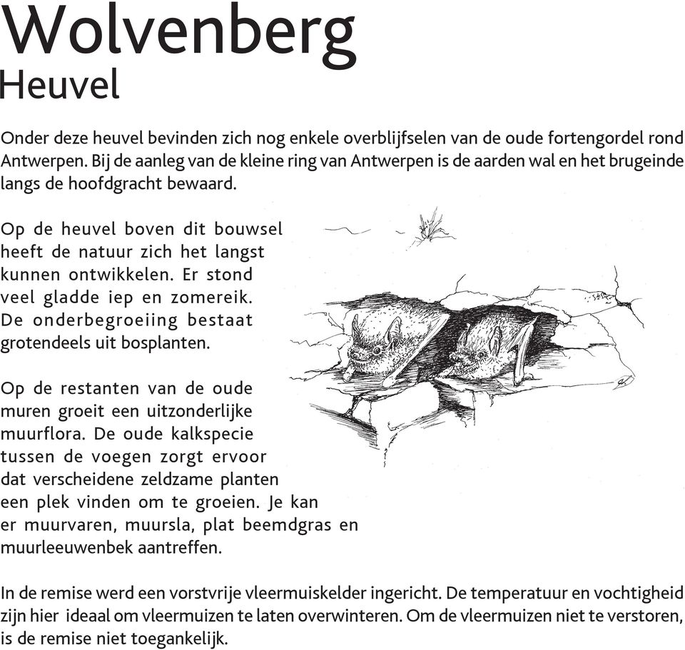 Er stond veel gladde iep en zomereik. De onderbegroeiing bestaat grotendeels uit bosplanten. Op de restanten van de oude muren groeit een uitzonderlijke muurflora.