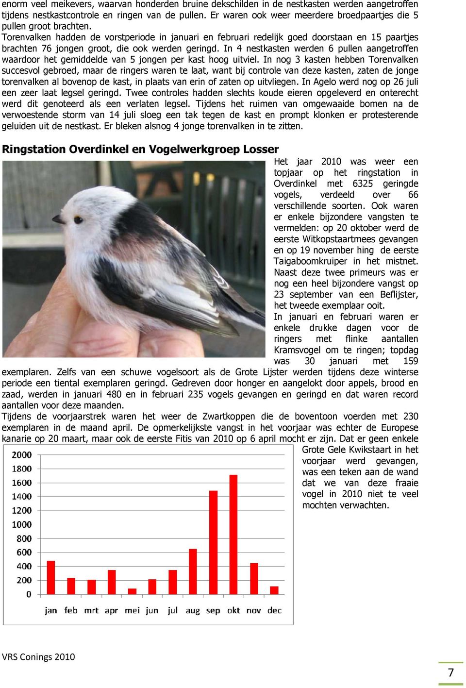 Torenvalken hadden de vorstperiode in januari en februari redelijk goed doorstaan en 15 paartjes brachten 76 jongen groot, die ook werden geringd.