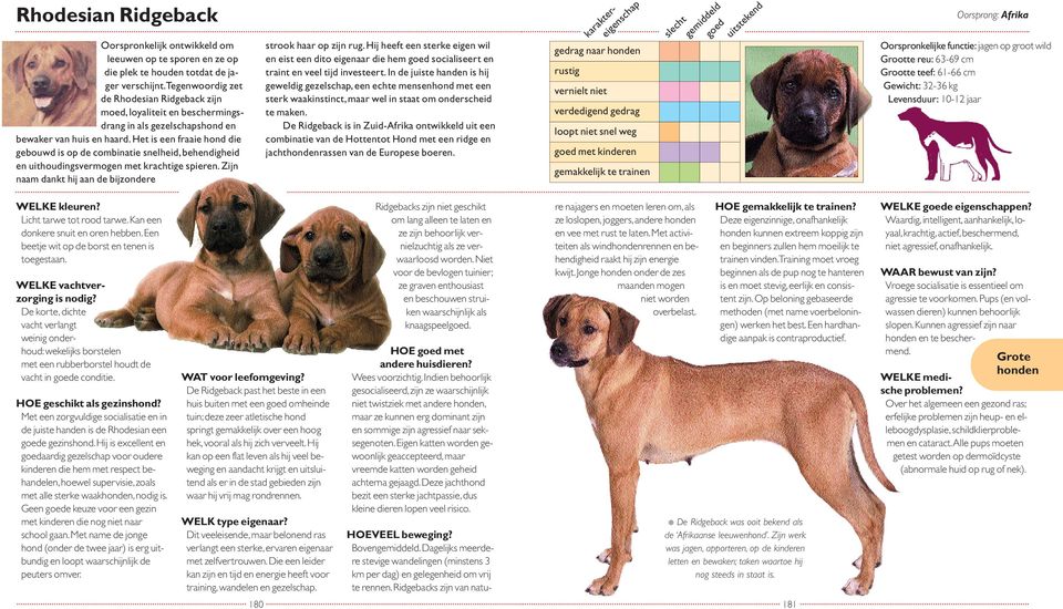 Het is een fraaie hond die gebouwd is op de combinatie snelheid, behendigheid en uithoudingsvermogen met krachtige spieren. Zijn naam dankt hij aan de bijzondere strook haar op zijn rug.