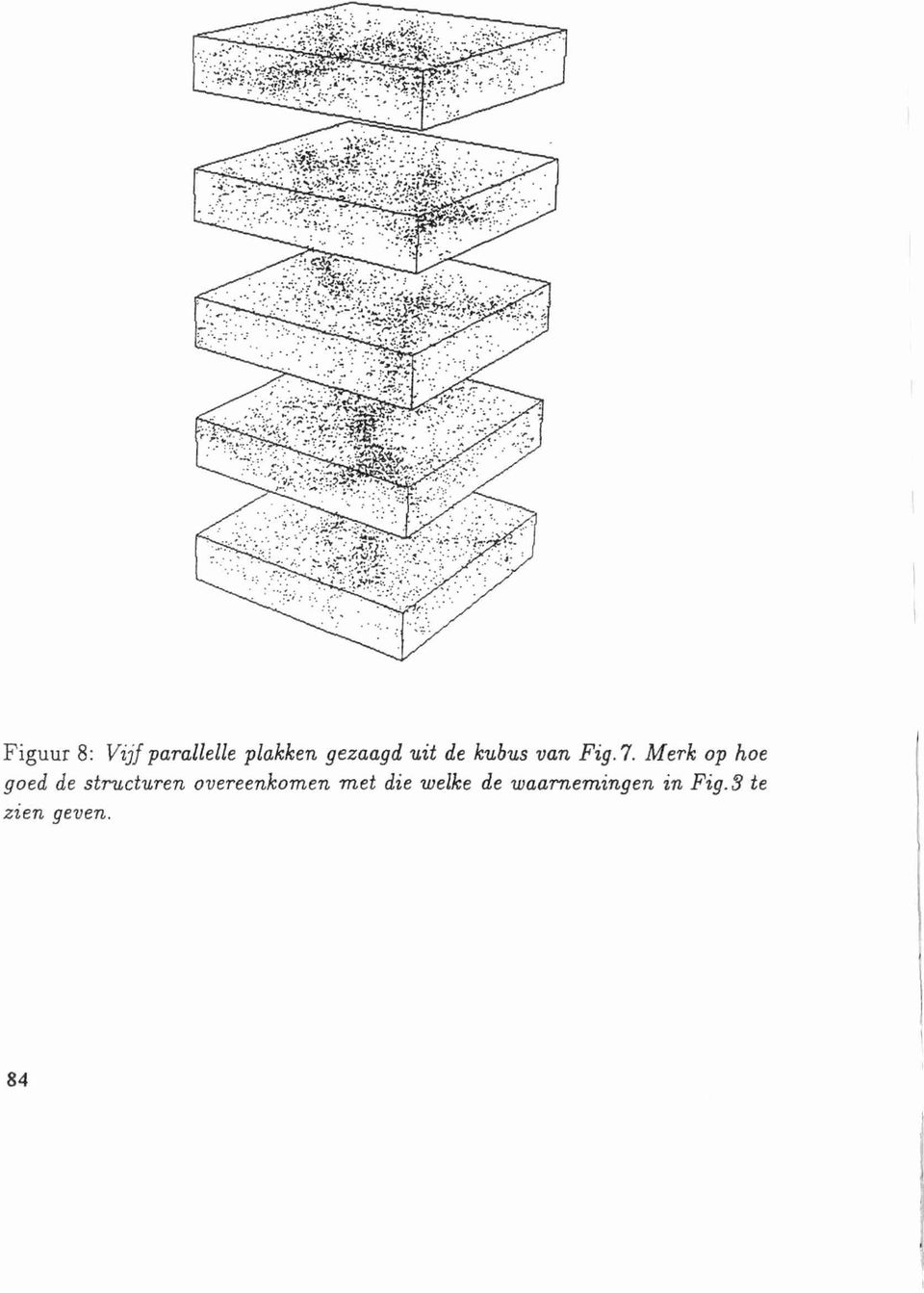 Merk op hoe goed de structuren