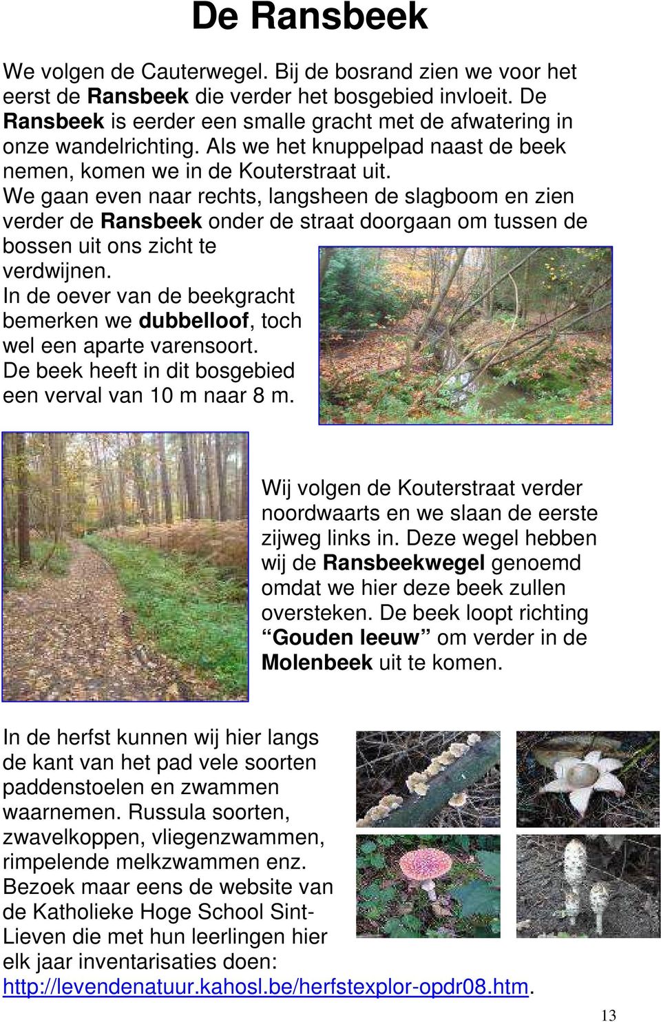 We gaan even naar rechts, langsheen de slagboom en zien verder de Ransbeek onder de straat doorgaan om tussen de bossen uit ons zicht te verdwijnen.