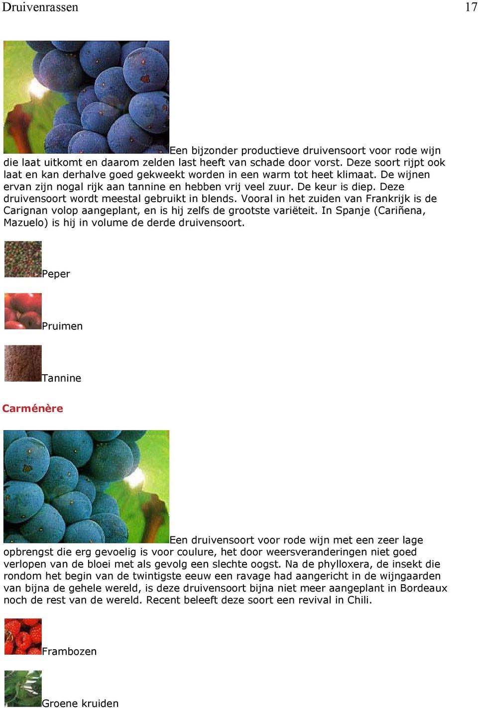 Deze druivensoort wordt meestal gebruikt in blends. Vooral in het zuiden van Frankrijk is de Carignan volop aangeplant, en is hij zelfs de grootste variëteit.