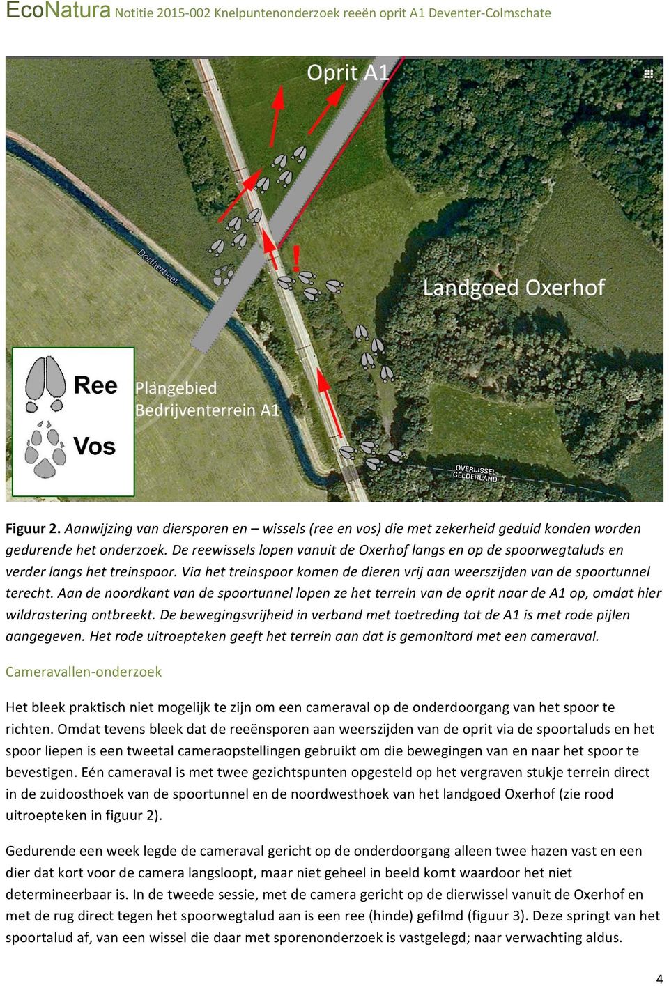 Aan de noordkant van de spoortunnel lopen ze het terrein van de oprit naar de A1 op, omdat hier wildrastering ontbreekt.