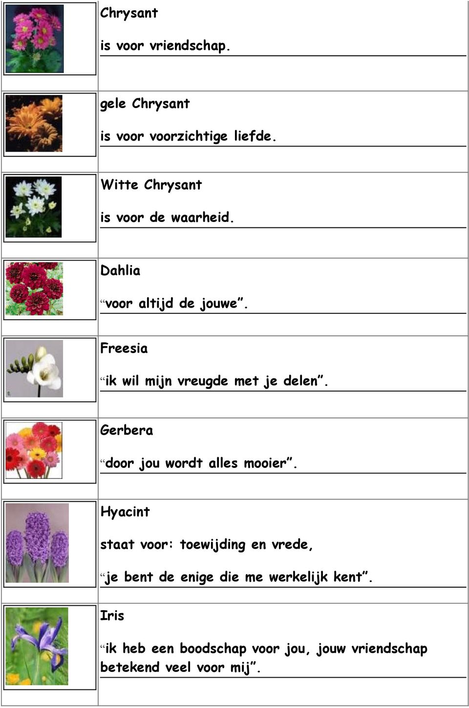 Freesia ik wil mijn vreugde met je delen. Gerbera door jou wordt alles mooier.