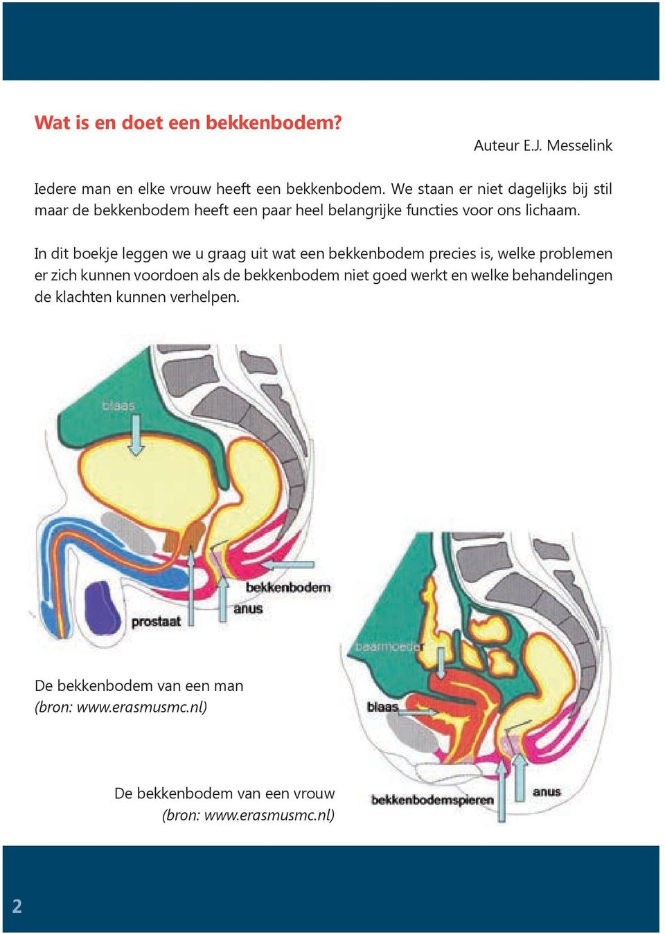 In dit boekje leggen we u graag uit wat een bekkenbodem precies is, welke problemen er zich kunnen voordoen als de bekkenbodem