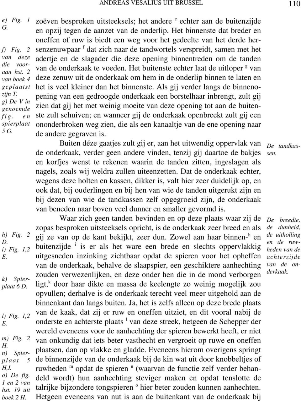 ANDREAS VESALIUS UIT BRUSSEL zoëven besproken uitsteeksels; het andere e echter aan de buitenzijde en opzij tegen de aanzet van de onderlip.