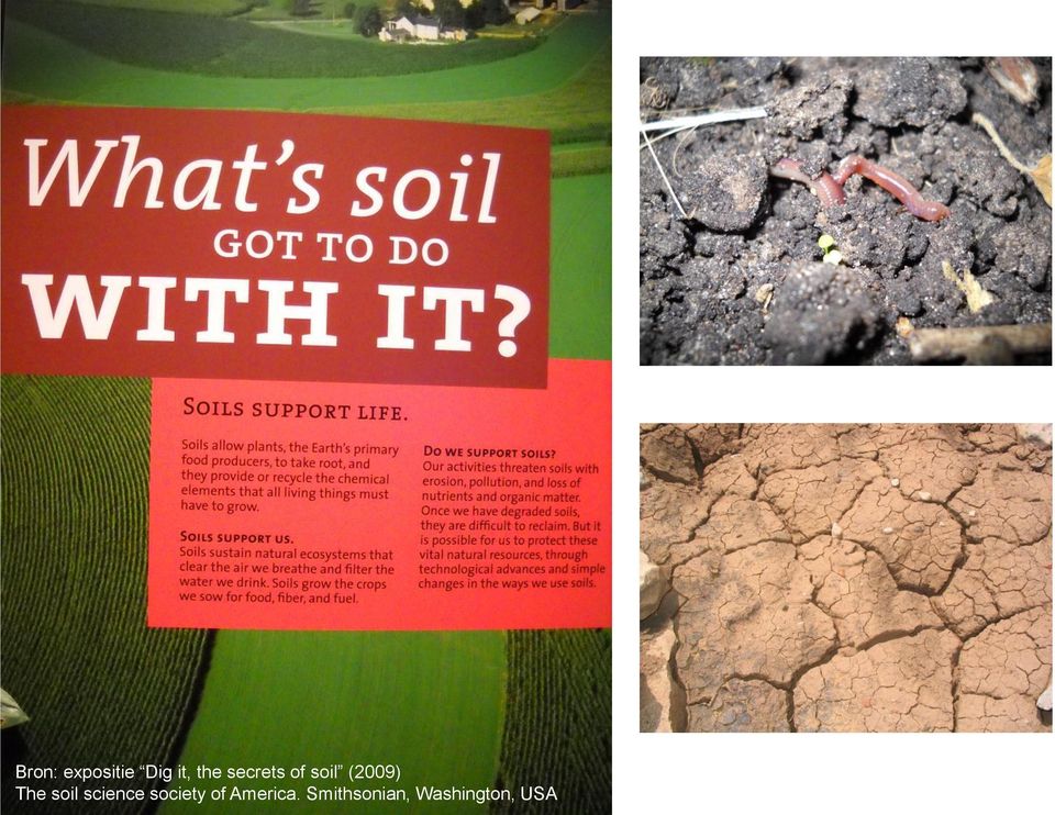 soil science society of