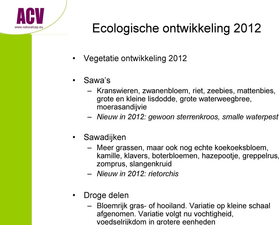 eu Ecologische ontwikkeling 2012 Vegetatie ontwikkeling 2012 Sawa s Kranswieren, zwanenbloem, riet, zeebies, mattenbies, grote en kleine