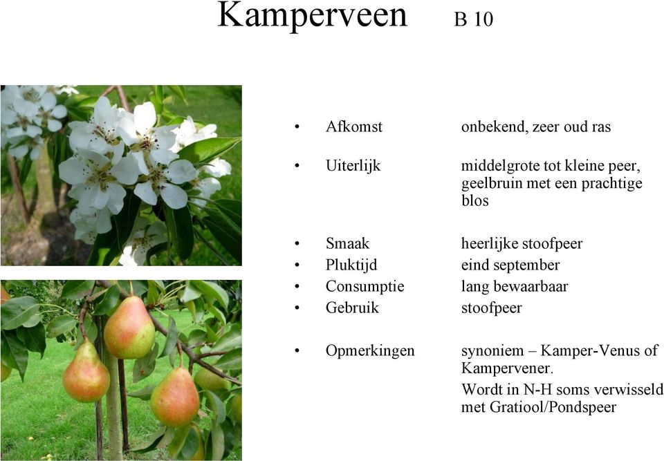 Pluktijd eind september Consumptie lang bewaarbaar Gebruik stoofpeer