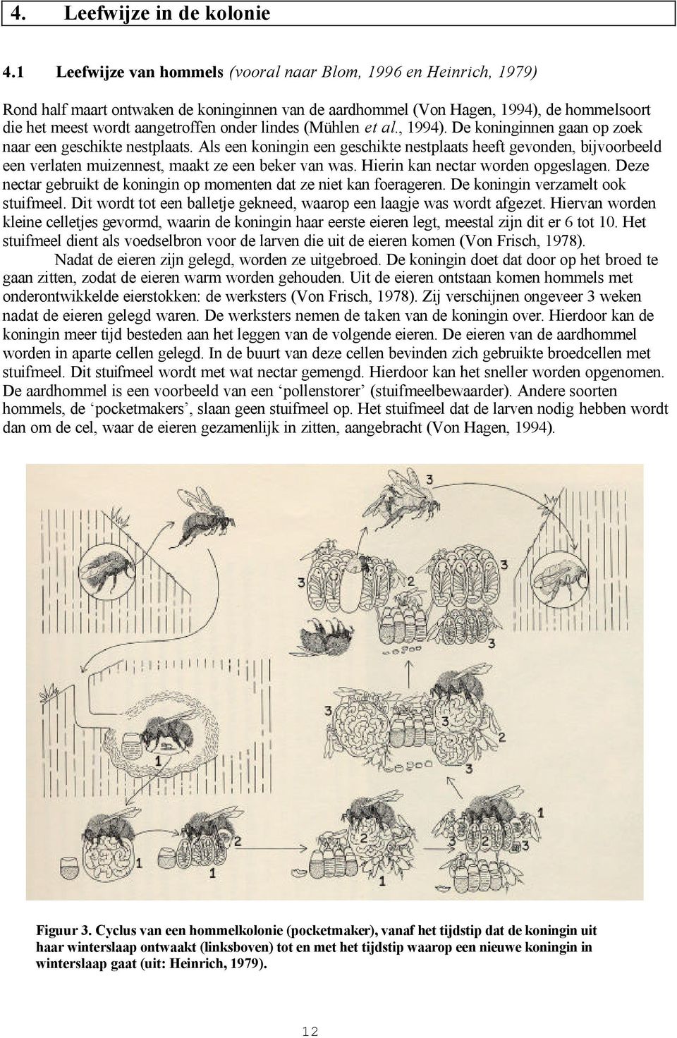 lindes (Mühlen et al., 1994). De koninginnen gaan op zoek naar een geschikte nestplaats.
