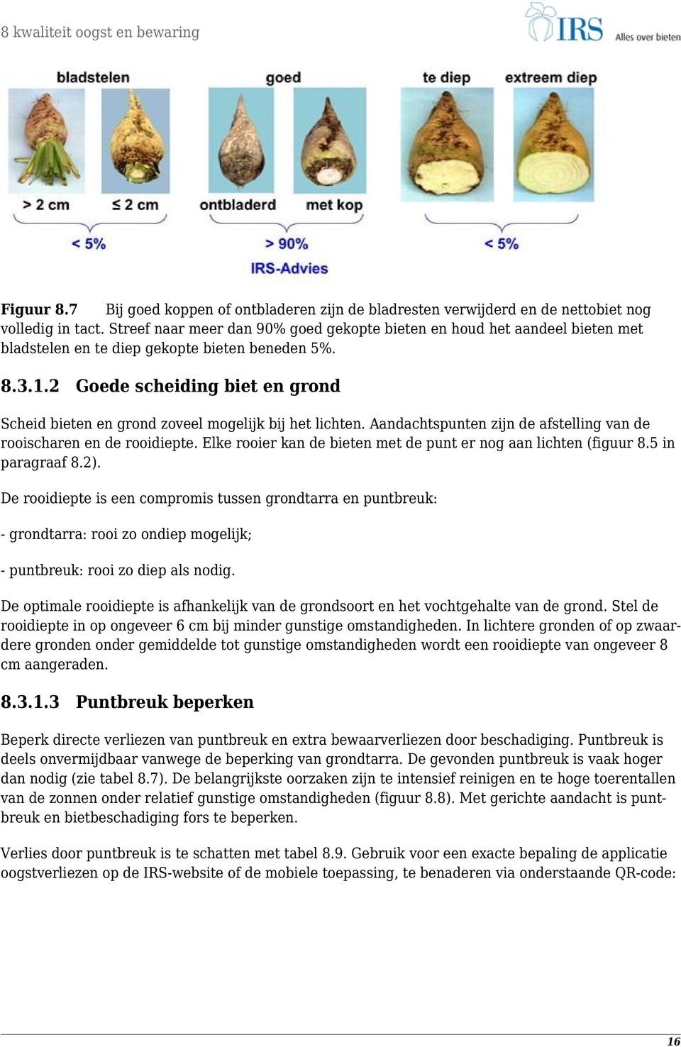 2 Goede scheiding biet en grond Scheid bieten en grond zoveel mogelijk bij het lichten. Aandachtspunten zijn de afstelling van de rooischaren en de rooidiepte.