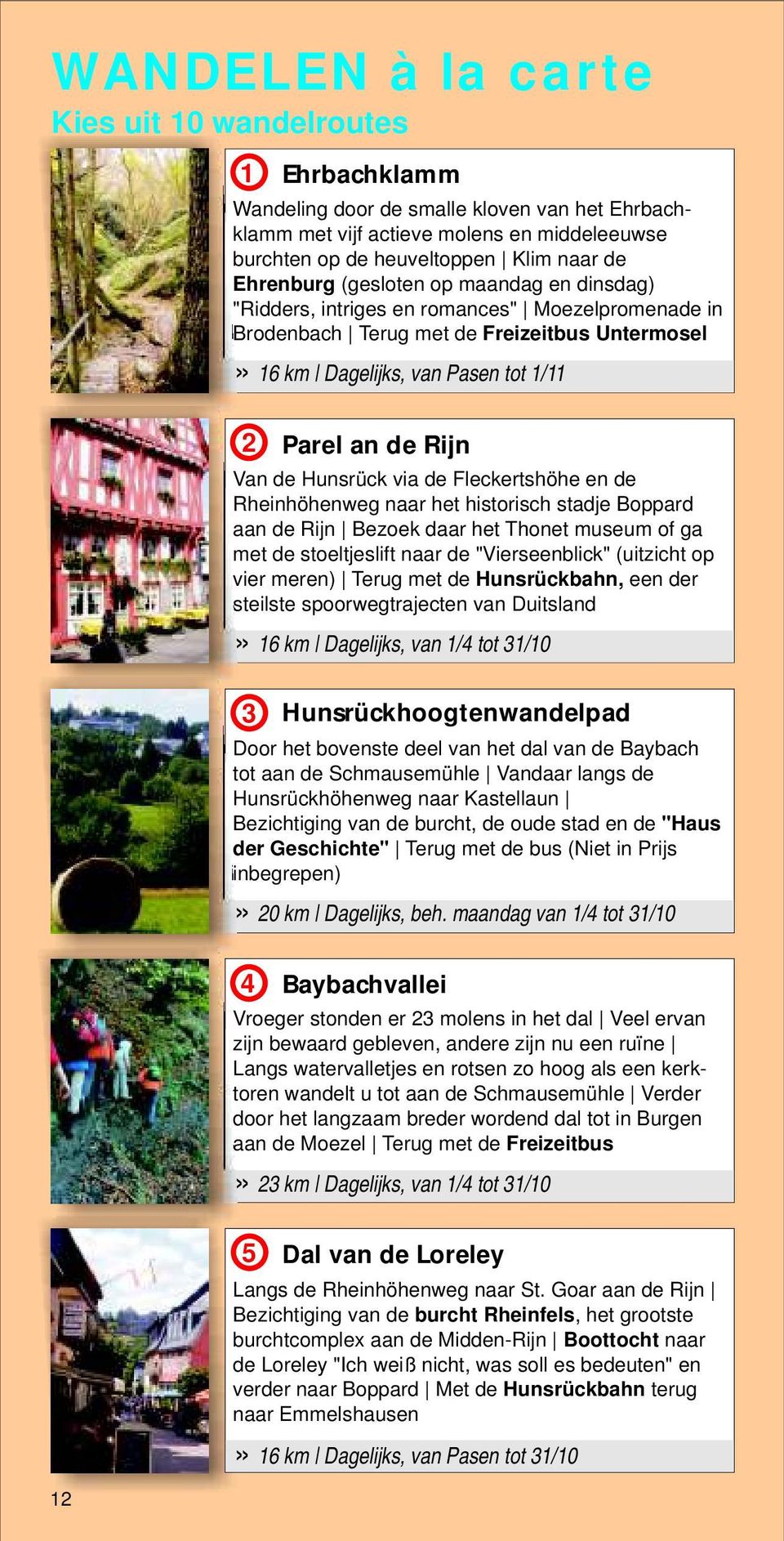 Van de Hunsrück via de Fleckertshöhe en de Rheinhöhenweg naar het historisch stadje Boppard aan de Rijn Bezoek daar het Thonet museum of ga met de stoeltjeslift naar de "Vierseenblick" (uitzicht op