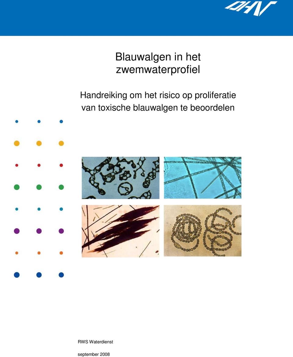 proliferatie van toxische blauwalgen