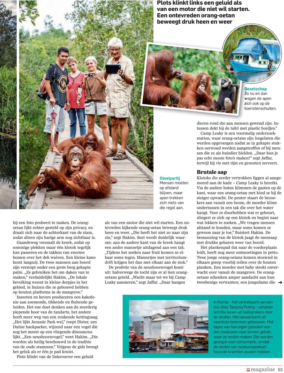 Camp Leaky is een voormalig onderzoekstation, waar orang-oetans zijn losgelaten die werden opgevangen nadat ze in gekapte stukken oerwoud werden aangetroffenofbij mensen die ze als huisdier hielden.