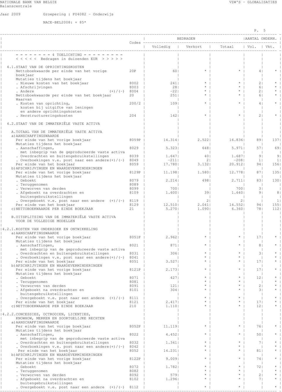 Afschrijvingen 8003 28 * * 6 *. Andere (+)/(-) 8004-22 * * 2 * Nettoboekwaarde per einde van het boekjaar 20 251 * * 6 * Waarvan.