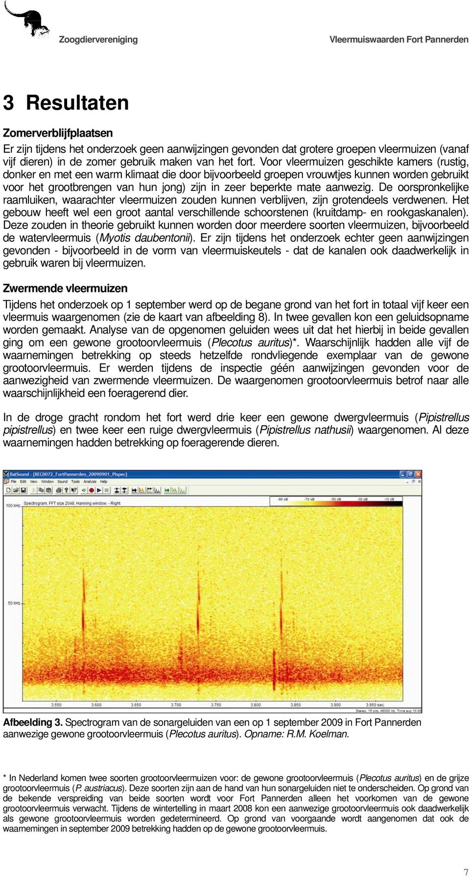 aanwezig. De oorspronkelijke raamluiken, waarachter vleermuizen zouden kunnen verblijven, zijn grotendeels verdwenen.