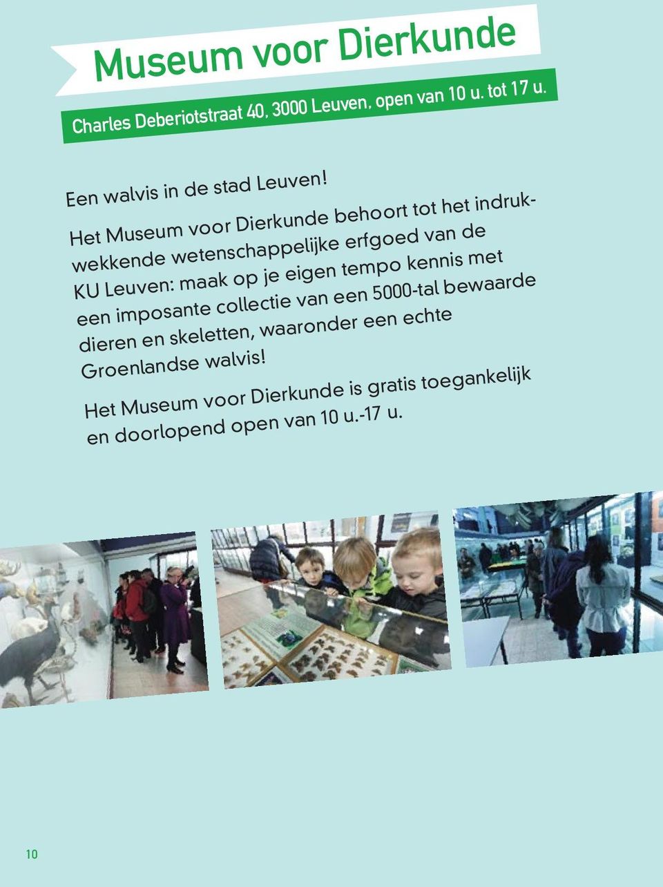 Het Museum voor Dierkunde behoort tot het indruk - wekkende wetenschappelijke erfgoed van de KU Leuven: maak op