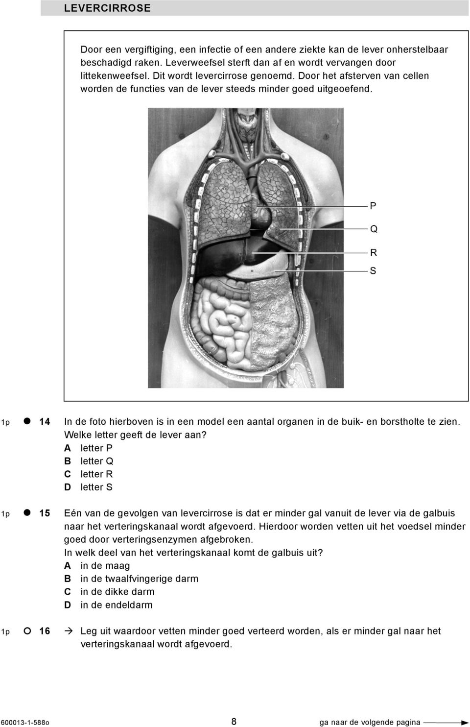 1p 14 In de foto hierboven is in een model een aantal organen in de buik- en borstholte te zien. Welke letter geeft de lever aan?
