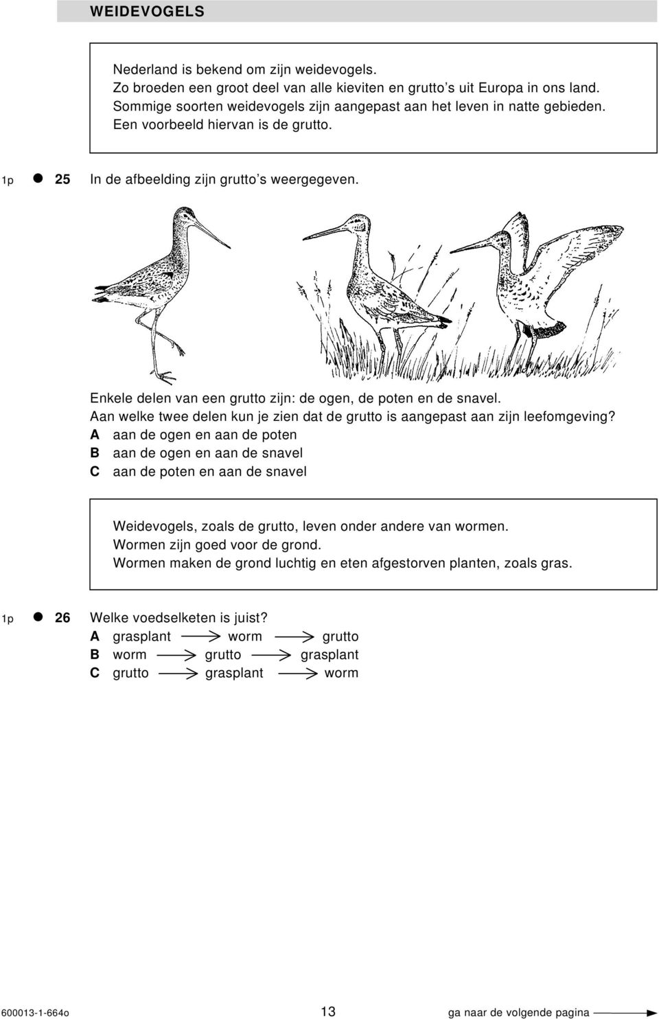 E nkele delen van een grutto zijn: de ogen, de poten en de snavel. Aan welke twee delen kun je zien dat de grutto is aangepast aan zijn leefomgeving?