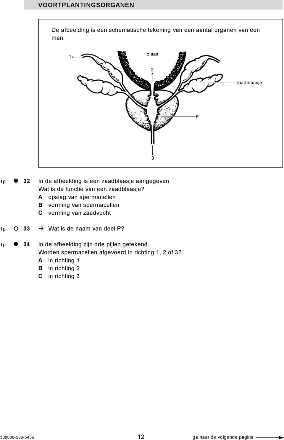 A opslag van spermacellen B vorming van spermacellen C vorming van zaadvocht 1p 33 Wat is de naam van deel P?