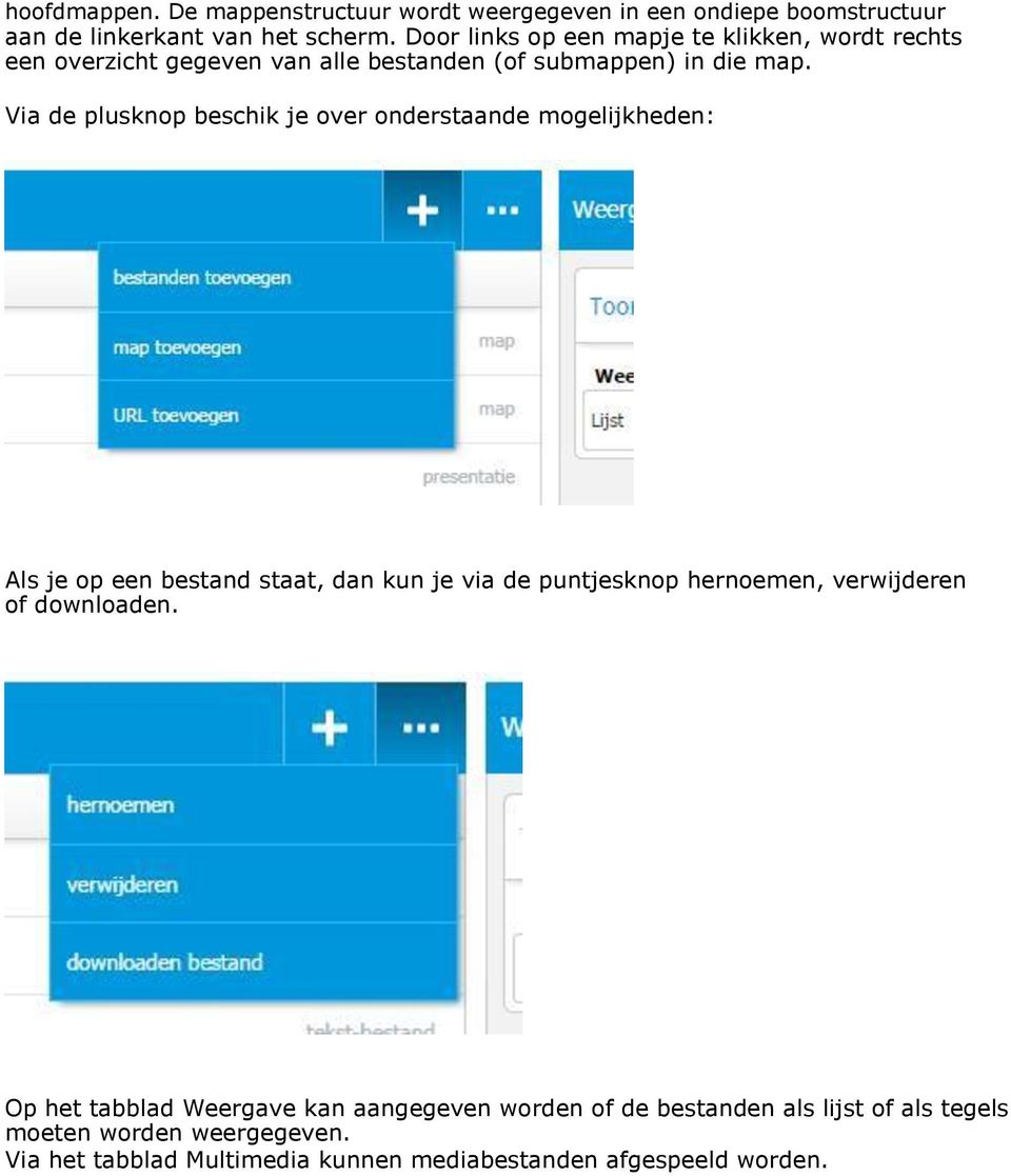 Via de plusknop beschik je over onderstaande mogelijkheden: Als je op een bestand staat, dan kun je via de puntjesknop hernoemen, verwijderen