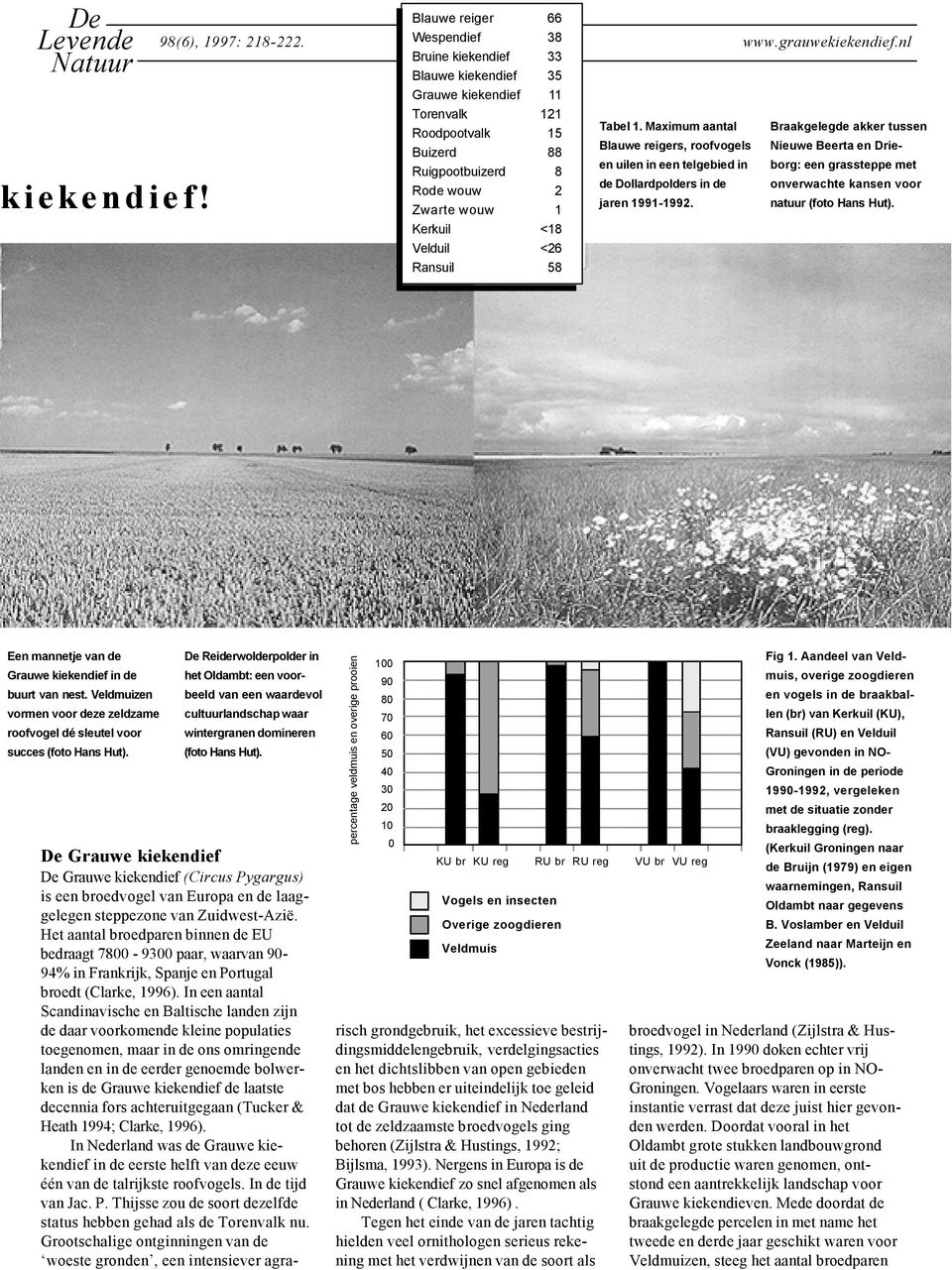 Maximum aantal Buizerd 88 Blauwe reigers, roofvogels Nieuwe Beerta en Drie- Ruigpootbuizerd 8 en uilen in een telgebied in Rode wouw 2 de Dollardpolders in de Zwarte wouw 1 jaren 1991-1992.
