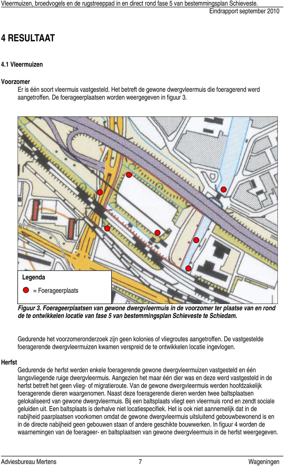 Foerageerplaatsen van gewone dwergvleermuis in de voorzomer ter plaatse van en rond de te ontwikkelen locatie van fase 5 van bestemmingsplan Schieveste te Schiedam.