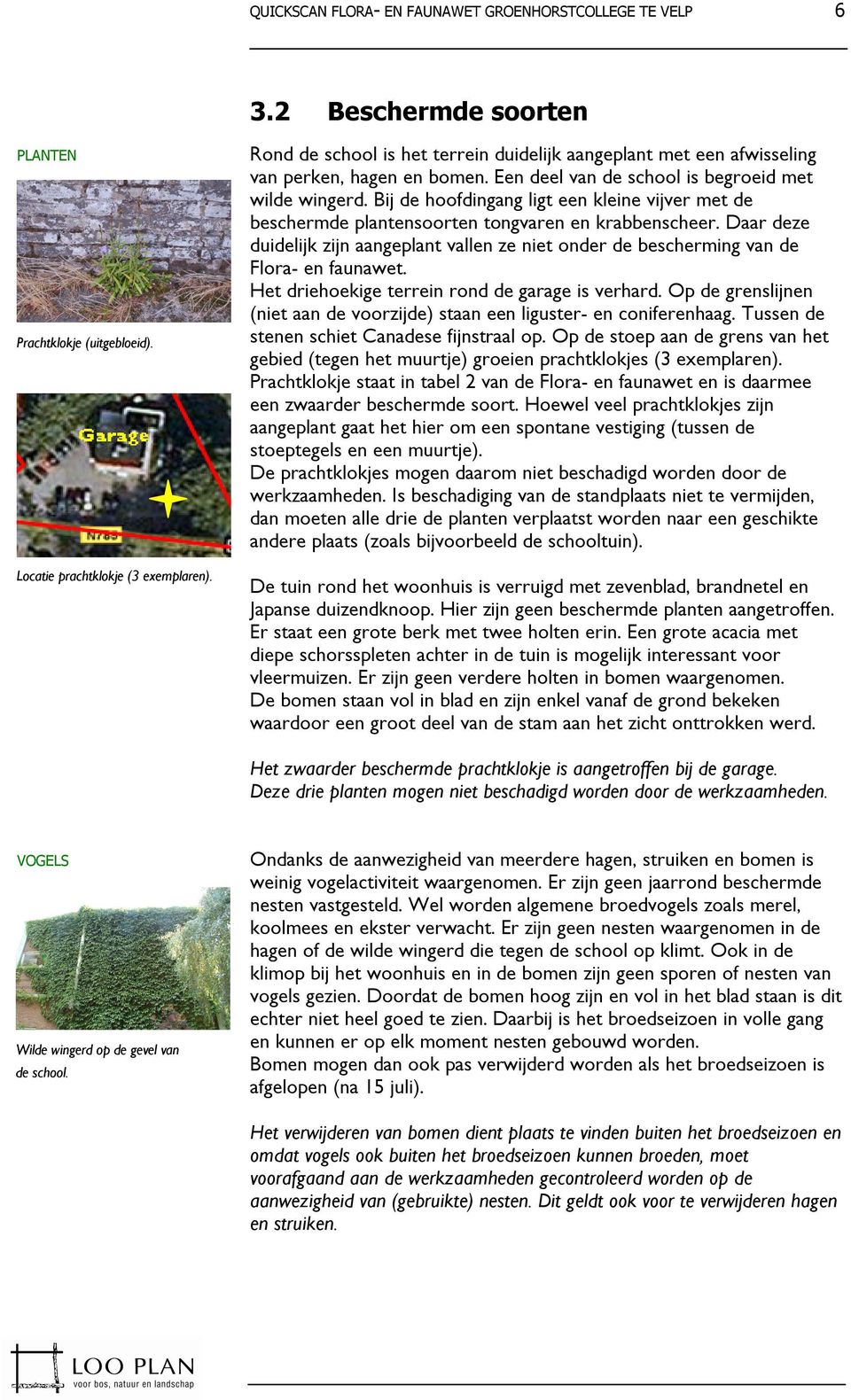 Daar deze duidelijk zijn aangeplant vallen ze niet onder de bescherming van de Flora- en faunawet. Het driehoekige terrein rond de garage is verhard.