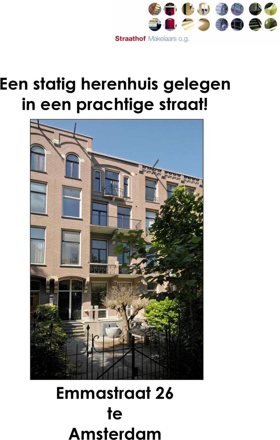 in een prachtige