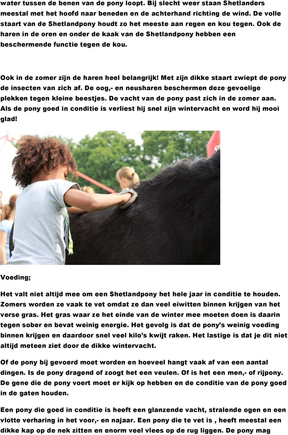 Ook in de zomer zijn de haren heel belangrijk! Met zijn dikke staart zwiept de pony de insecten van zich af. De oog,- en neusharen beschermen deze gevoelige plekken tegen kleine beestjes.