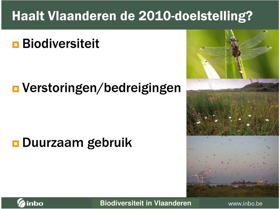 Biodiversiteit