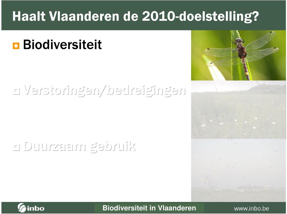 Biodiversiteit