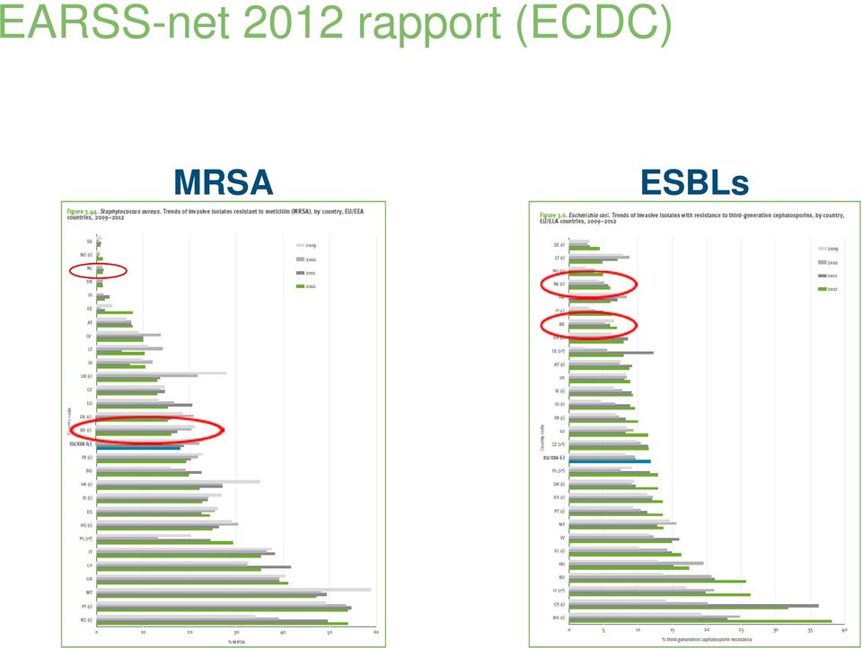 rapport