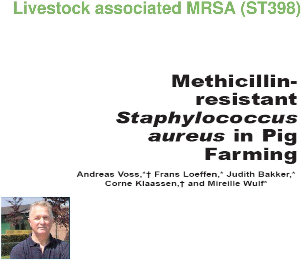 MRSA (ST398)