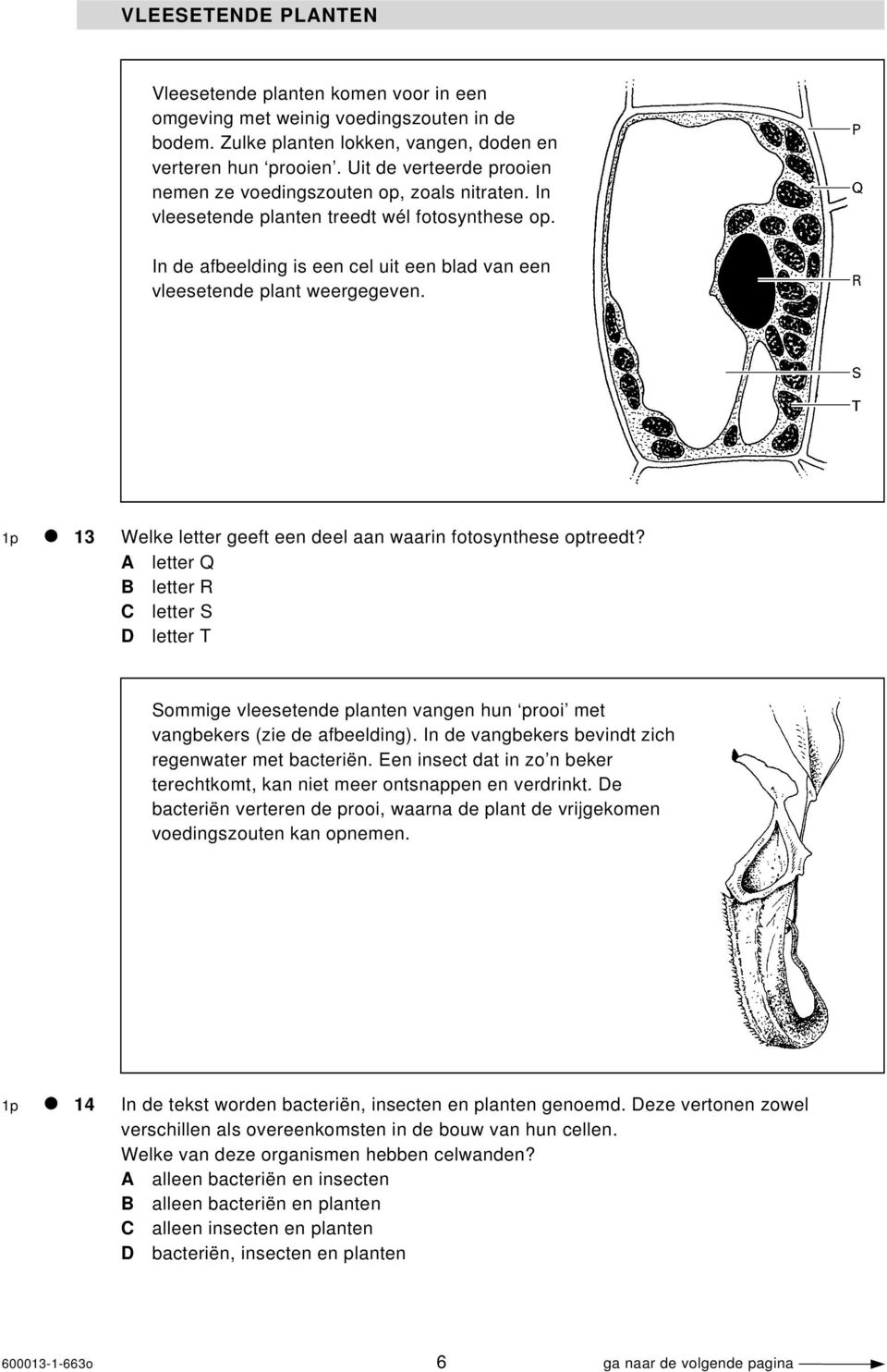 1p 13 Welke letter geeft een deel aan waarin fotosynthese optreedt? A letter Q B letter R C letter S D letter T Sommige vleesetende planten vangen hun prooi met vangbekers (zie de afbeelding).