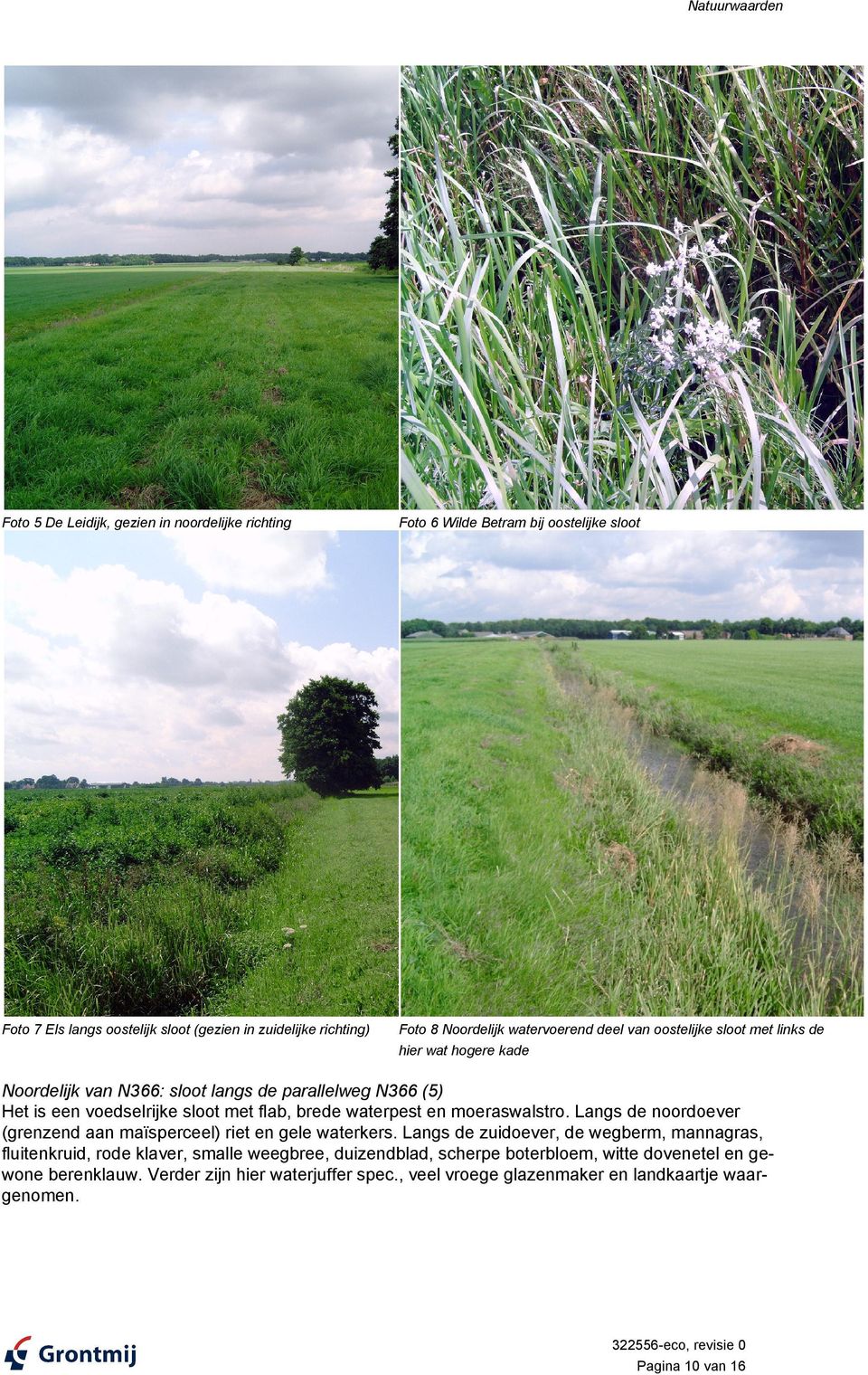 waterpest en moeraswalstro. Langs de noordoever (grenzend aan maïsperceel) riet en gele waterkers.