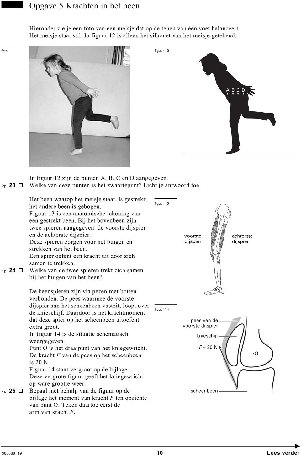 Het been waarop het meisje staat, is gestrekt; het andere been is gebogen. Figuur 13 is een anatomische tekening van een gestrekt been.